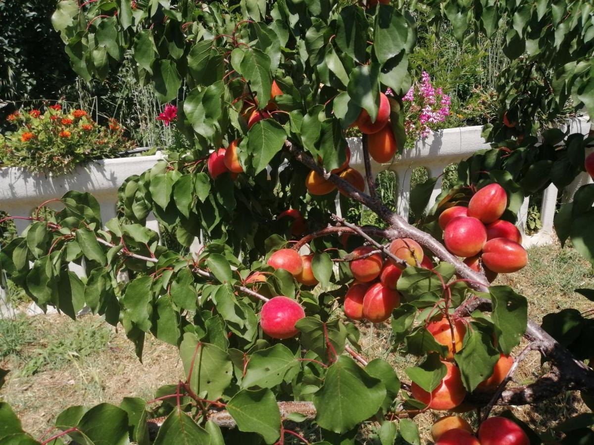 Willa Agriturismo Vemi Santa Sofia d'Epiro Zewnętrze zdjęcie