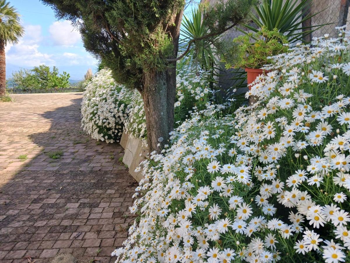 Willa Agriturismo Vemi Santa Sofia d'Epiro Zewnętrze zdjęcie